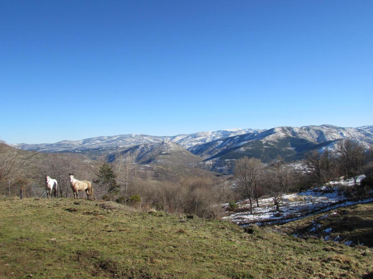 Atardecer En Gredos 1 Βίλα San Bartolomé de Tormes Εξωτερικό φωτογραφία